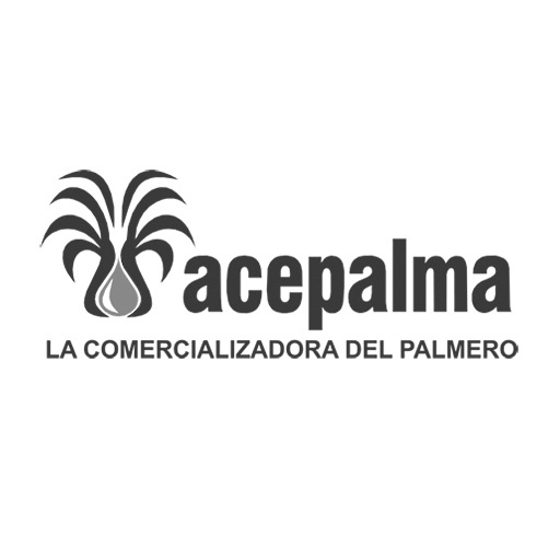 Asamblea virtual comercializadora del palmero